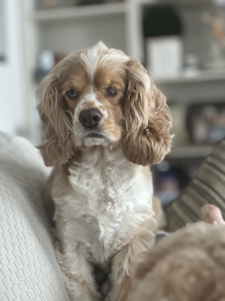 Zoey 