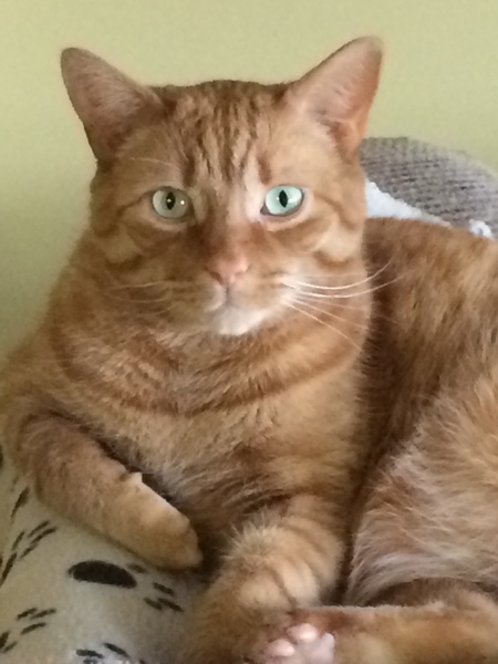 Dexter