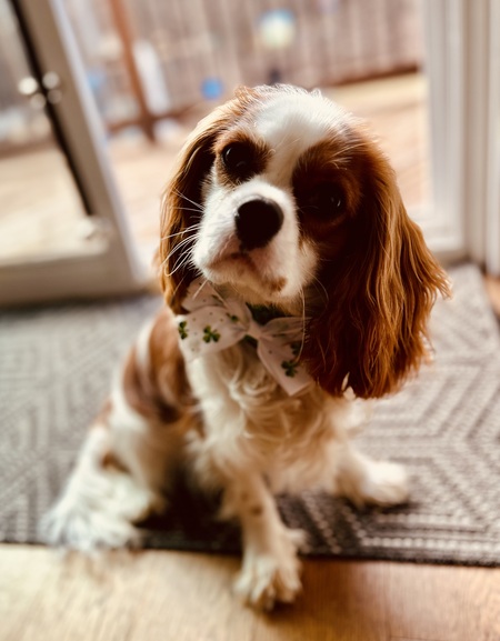 Fergus