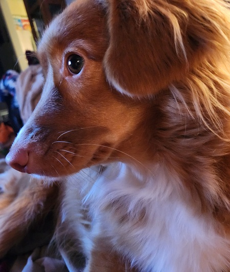 Yuki