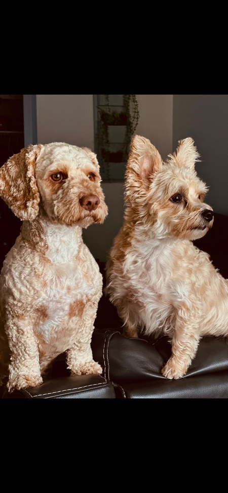 Charlie & Jackson