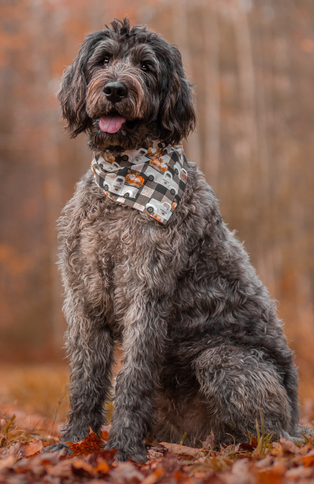 Oakley
