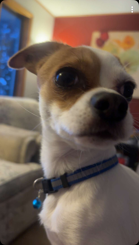Zuko