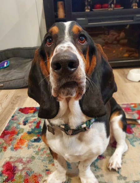 Winston