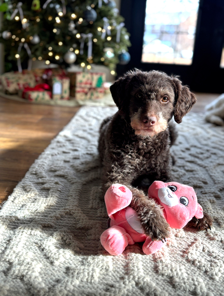 Finley