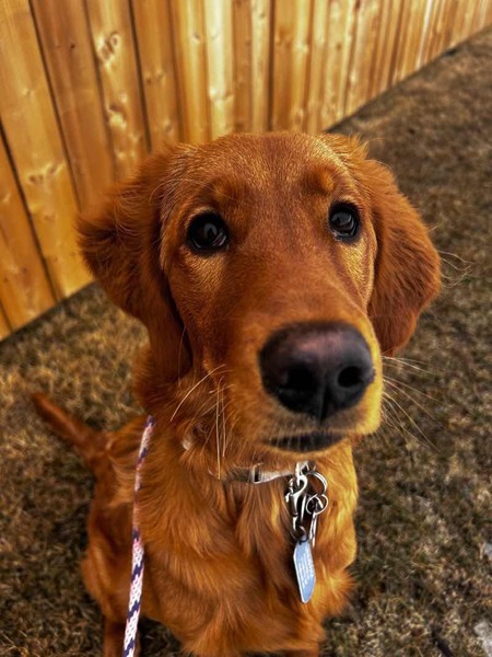 NOVA 💙 