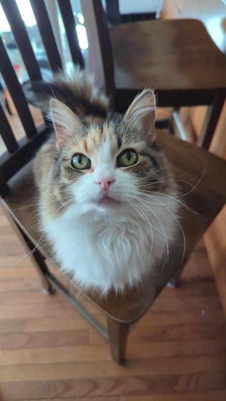 Mitzi