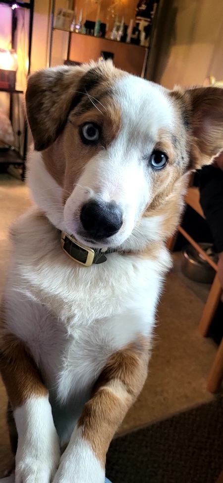 Copper