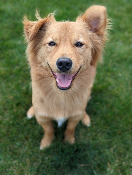 Ted 