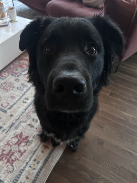 Benny