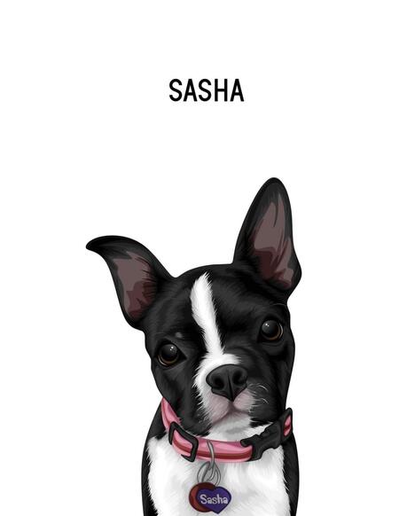 SASHA 