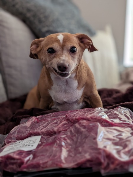 Lacy (aka Luci taken from Lucifer)