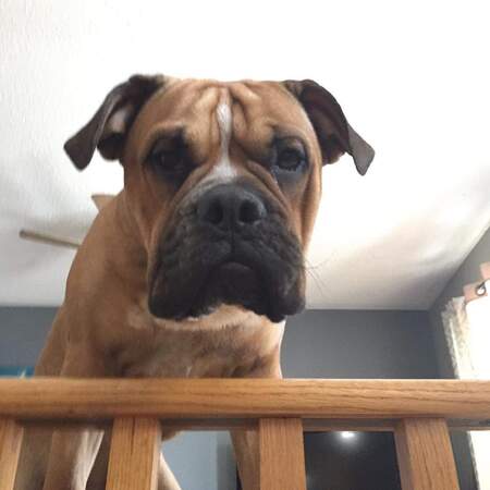 Dug