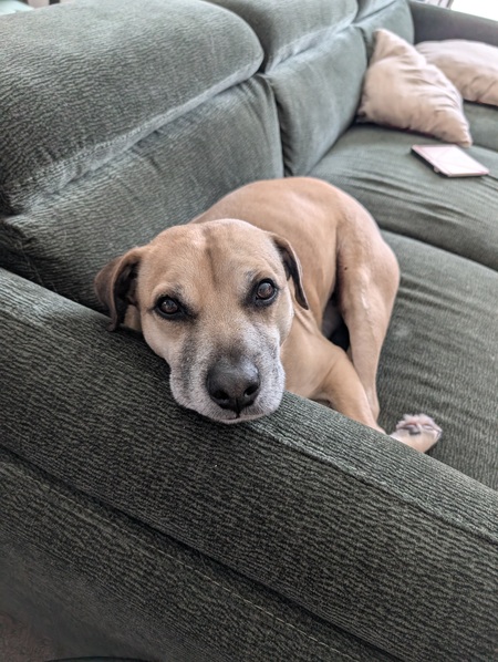 Axel