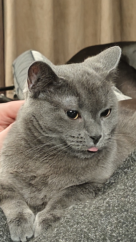 Luna