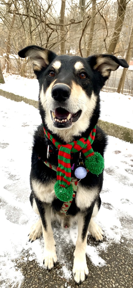 Max