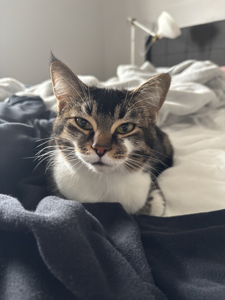 Lucy