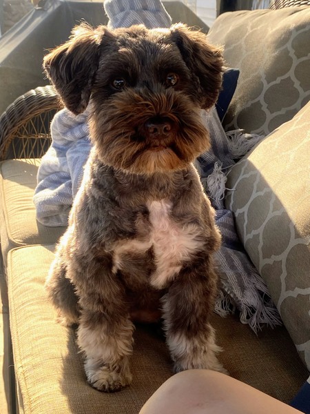 Roxy