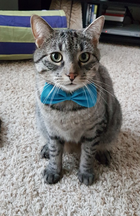 Loki