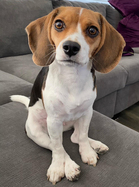 Fergie Bert