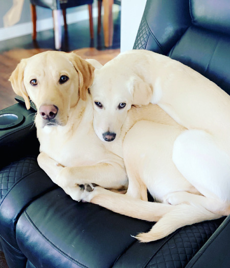 Maxx and Harley Stigter 