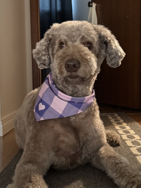 Coco