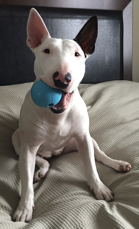 Daisy Mae