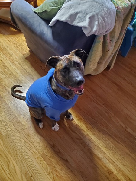 Titus