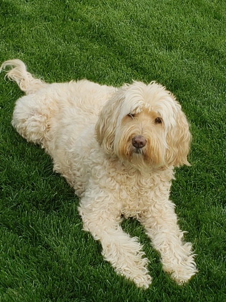 Molly