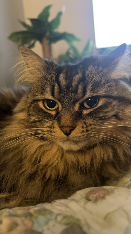 Margo