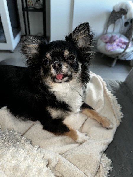 Stormi