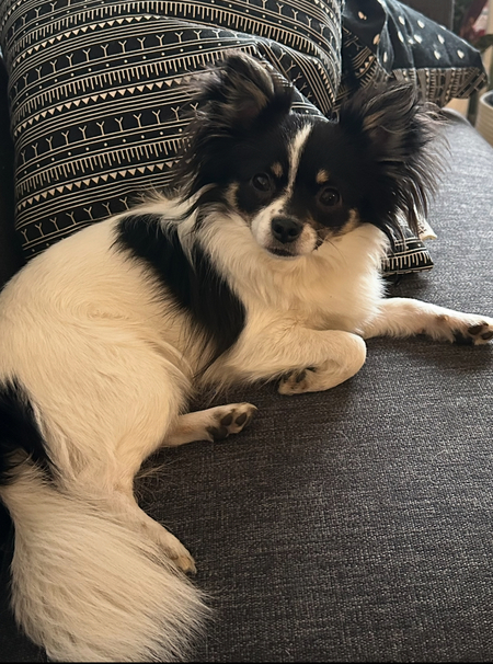 Bubba