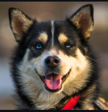 Kalla