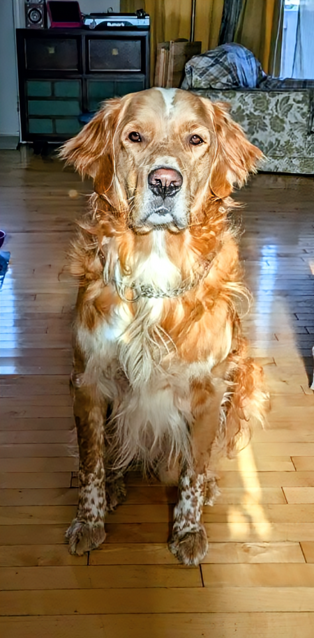 Butters 