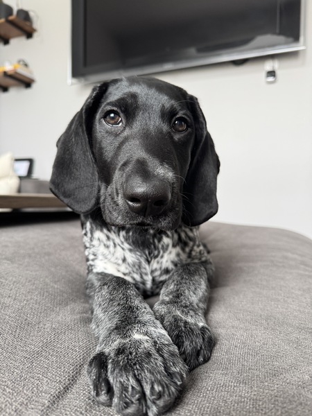Lenny