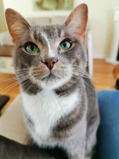 Darwin
