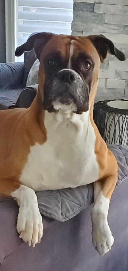 Russ