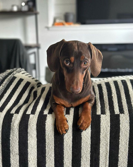 Pablo