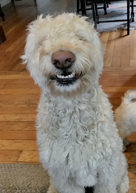Winnie