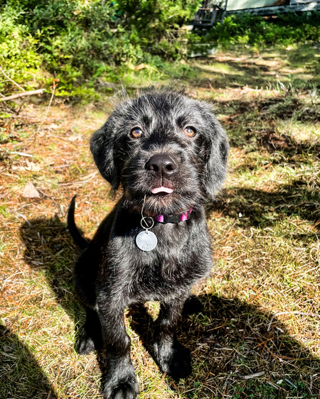 Ruby