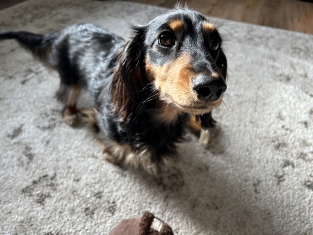 Lou
