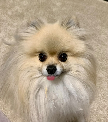 Maddy