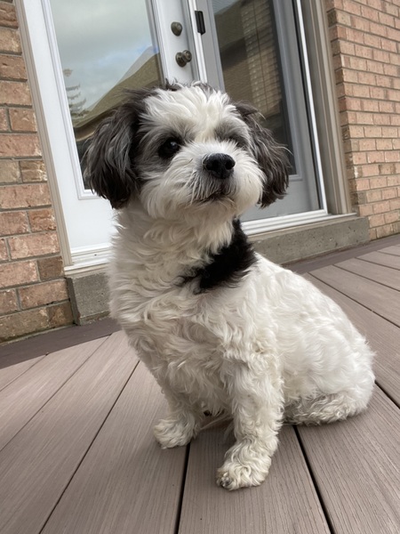 Parker