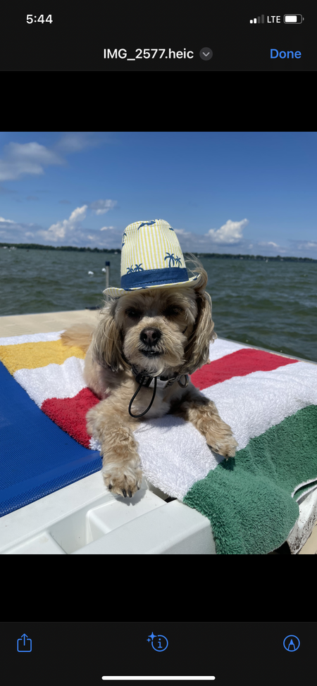 Milo