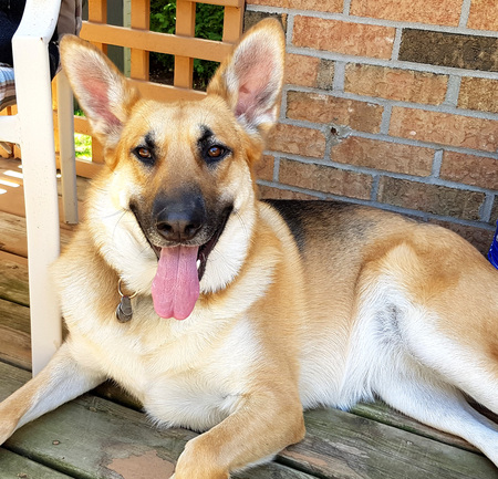 Ellie