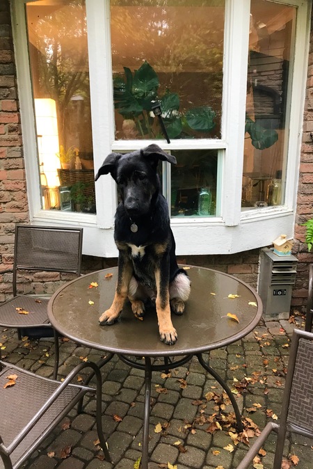 Ben