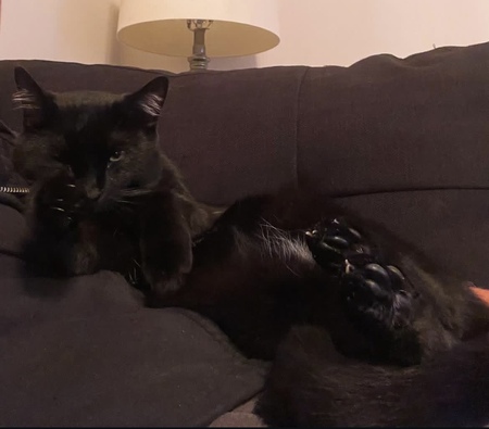 Salem