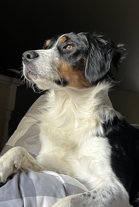 Jake
