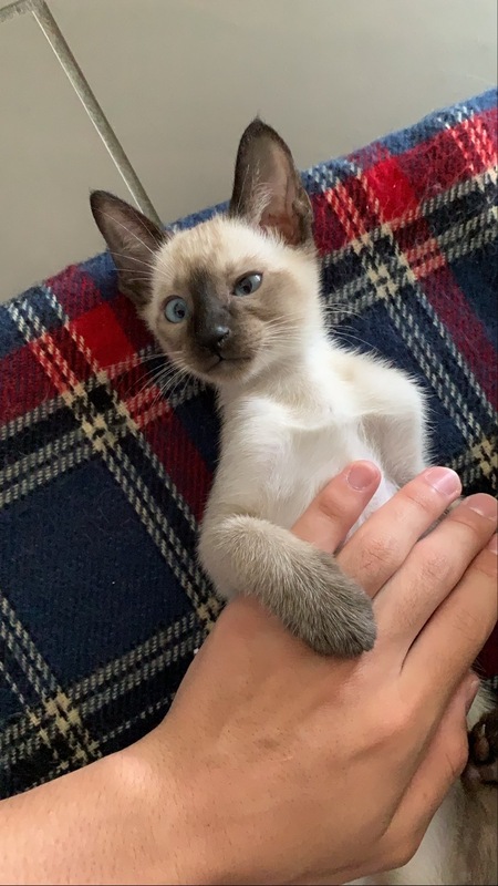 Leo