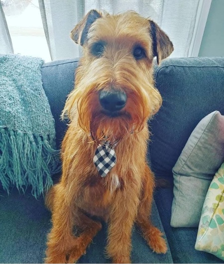 Finn